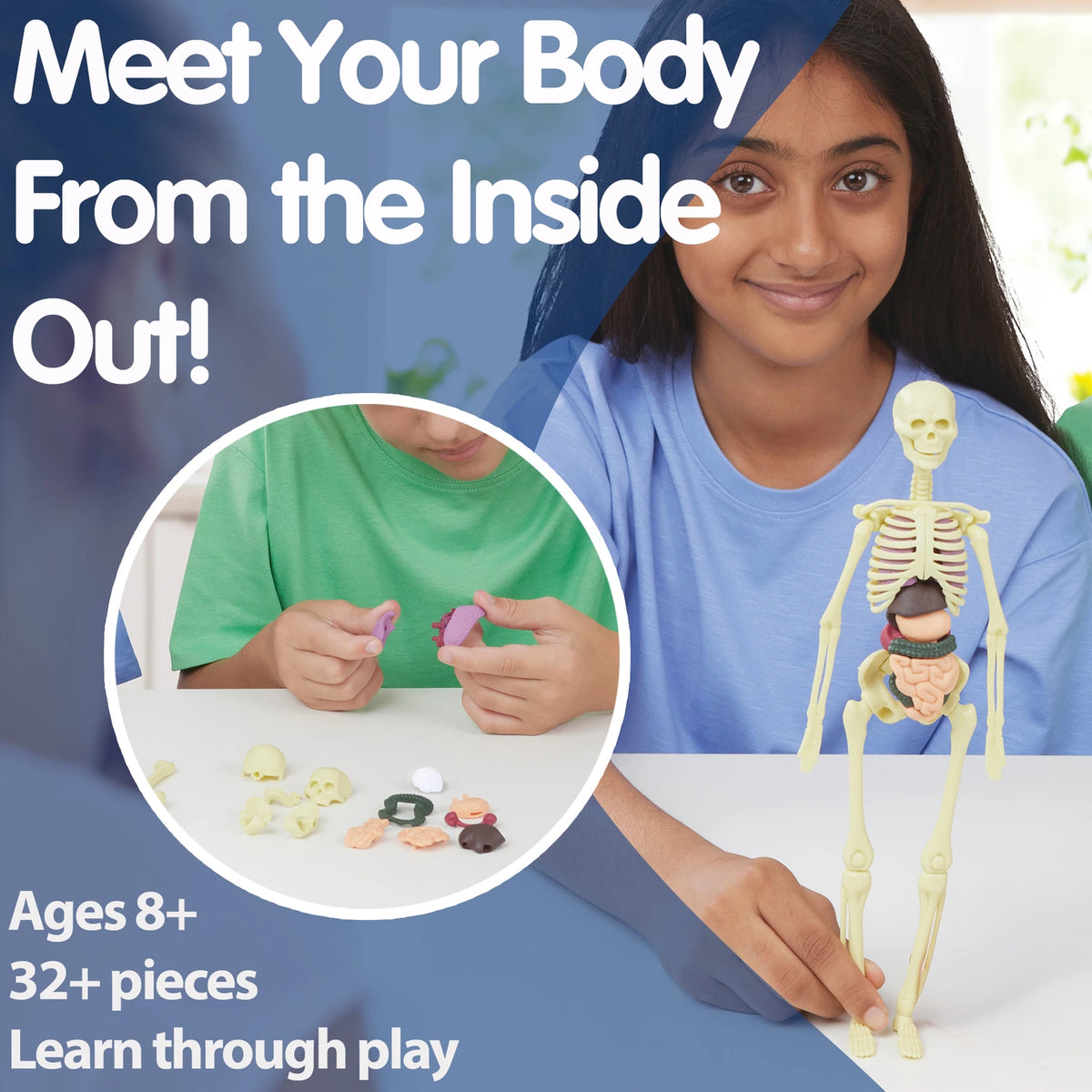 Brainstorm Build A Body model with child and inset showing anatomy pieces being assembled