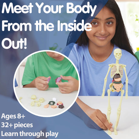 Brainstorm Build A Body model with child and inset showing anatomy pieces being assembled