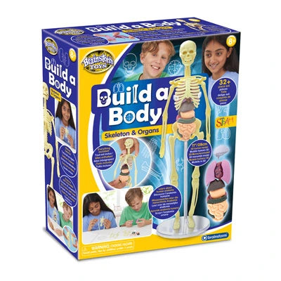 Brainstorm Build A Body retail box showing the skeleton, organs and 32+ piece anatomy set