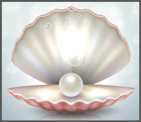 Brainstorm Mermaid Torch and Projector image showing a glowing pearl inside an open shell
