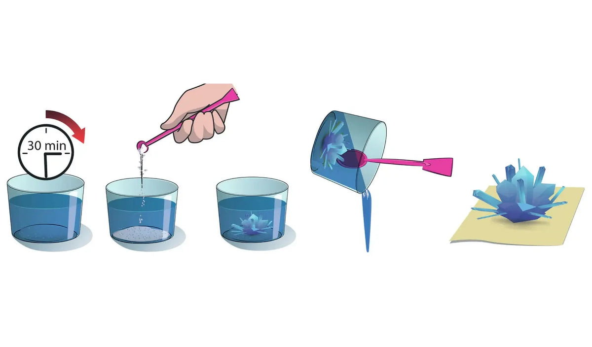 Illustrated crystal growing sequence showing a 30 minute wait, powder being added to blue liquid, a crystal forming in a cup and the crystal being poured onto paper.