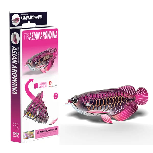 Boxed EUGY Asian Arowana 3D Cardboard Model Kit showing pink and gold fish design with eco packaging