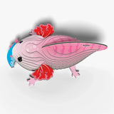 EUGY Axolotl left side view showing pink body, blue tail tip and red gills