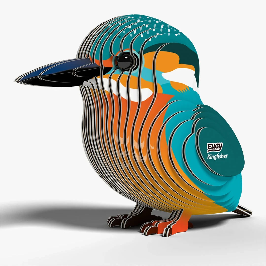 EUGY Kingfisher front three quarter view showing orange chest and long beak
