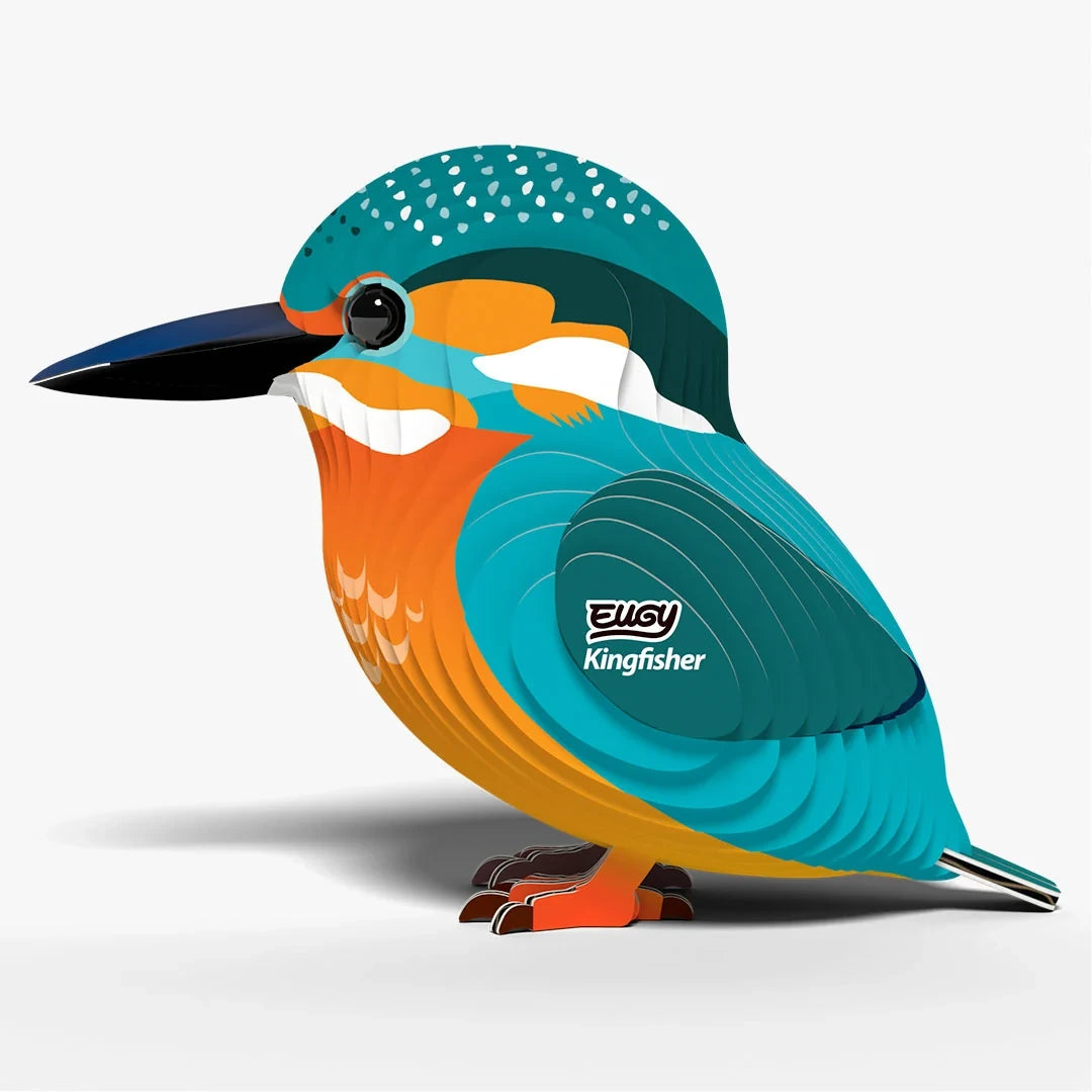 EUGY Kingfisher left side view showing layered feathers and pointed beak