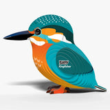 EUGY Kingfisher left side view showing layered feathers and pointed beak