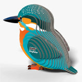 EUGY Kingfisher rear three quarter view showing layered wings and tail