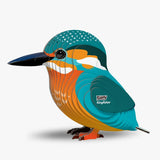 EUGY Kingfisher right side view showing blue wing and orange body