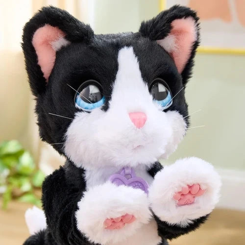 FurReal Boots the Biscuit Making Kitty close up showing blue eyes and pink paws