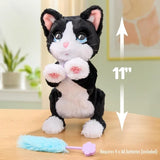 FurReal Boots the Biscuit Making Kitty showing 11 inch height and blue cat toy