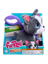 FurReal Friends Walk-a-lots Frenchie in packaging with leash handle in Ireland