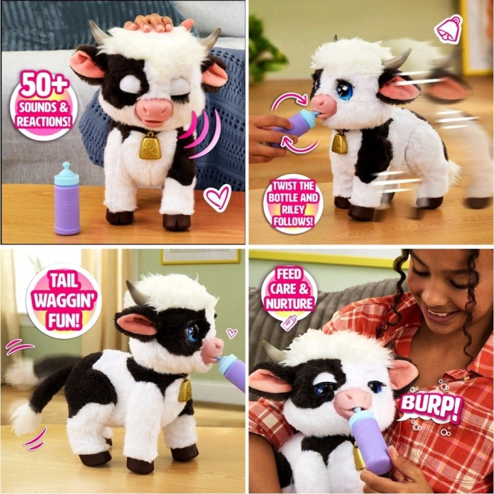 FurReal Riley the Feed & Follow Cow showing petting, bottle following, tail wagging and feeding scenes