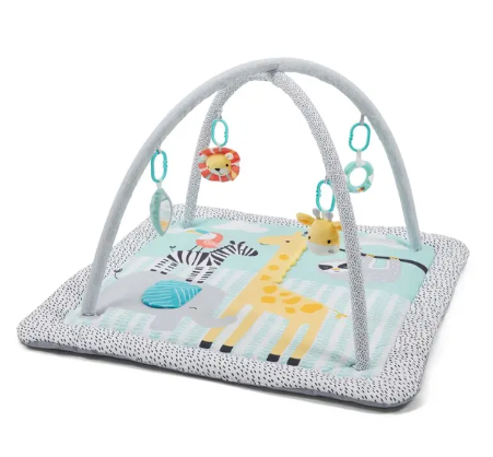 Babyzee Sensory Play Gym