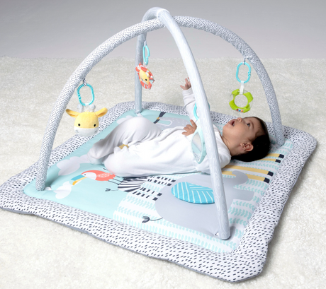 Babyzee Sensory Play Gym