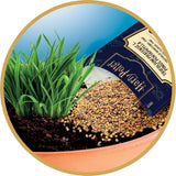 Close-up of grass growing in a brown plant pot with small seeds scattered across the soil and a Harry Potter seed packet resting beside the grass.