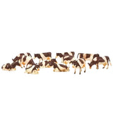 Kids Globe brown and white toy cows 12 pack displayed loose 1:32 scale Ireland