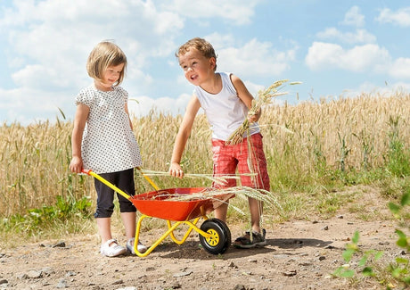 Two children with a red and yellow kids metal wheelbarrow