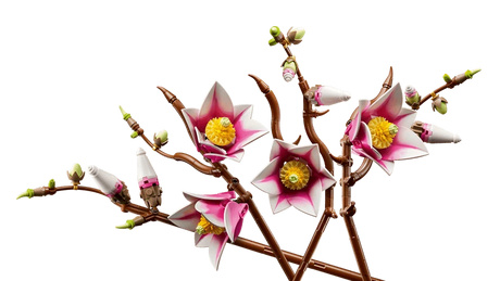 Close view of LEGO Botanicals Magnolia Branches 11510 showing open flowers with yellow centres, closed buds and brown branch details