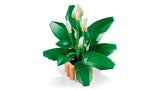 LEGO Botanicals Peace Lily plant viewed from an above angle showing green leaves, white flowers with yellow centres and peach coloured plant pot on a white background