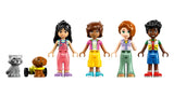 LEGO Friends 42652 minidolls Liann Autumn Leo Zac with dog Pickle and raccoon figures lined up on white background in Ireland