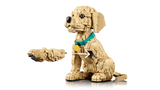 LEGO Golden Retriever Puppy model beside a separate front paw build with white direction arrows
