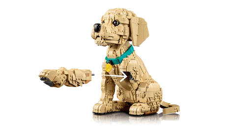 LEGO Golden Retriever Puppy model beside a separate front paw build with white direction arrows