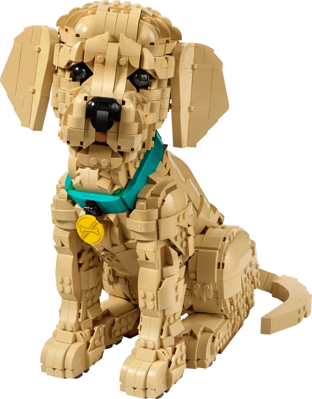 LEGO Golden Retriever Puppy model sitting facing forward with turquoise collar and gold tag