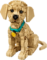 LEGO Golden Retriever Puppy model sitting facing forward with turquoise collar and gold tag
