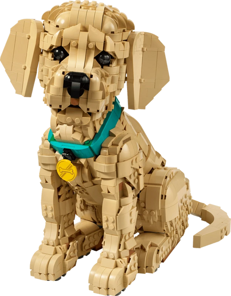 LEGO Golden Retriever Puppy model sitting facing forward with turquoise collar and gold tag