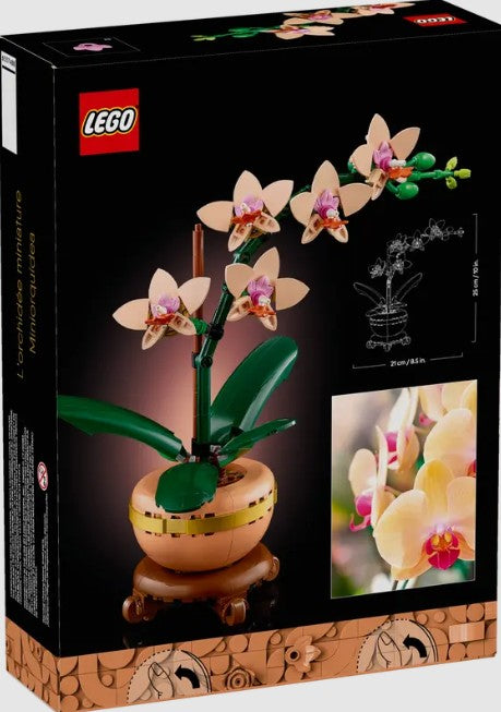 LEGO Mini Orchid 10343 back of box with flower dimensions and real orchid photo – Ireland edition - ToyTown.ie