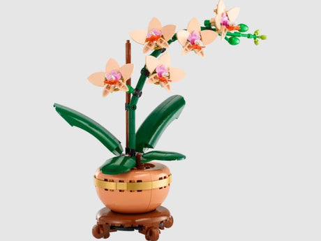 LEGO Mini Orchid 10343 flower build with petals, leaves, and terracotta pot in Ireland