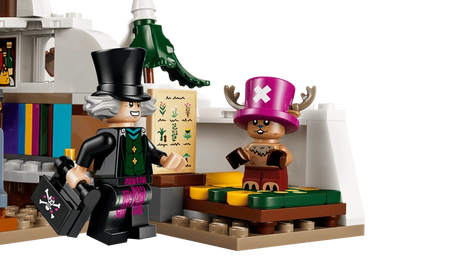 LEGO One Piece Dr. Hiriluk and Tony Tony Chopper minifigures beside the bed, books and plant chart