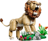 LEGO lion model roaring beside a savanna habitat build with plants and rocks