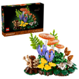 LEGO Woodland Mushrooms 11505 box with mushroom, crocus and fern display model