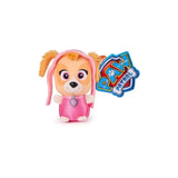 Skye mini plush in pink outfit with PAW Patrol tag