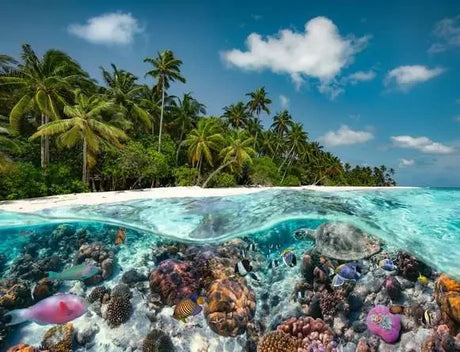 Ravensburger A Dive in the Maldives 2000 Piece Jigsaw Puzzle tropical island and underwater reef artwork