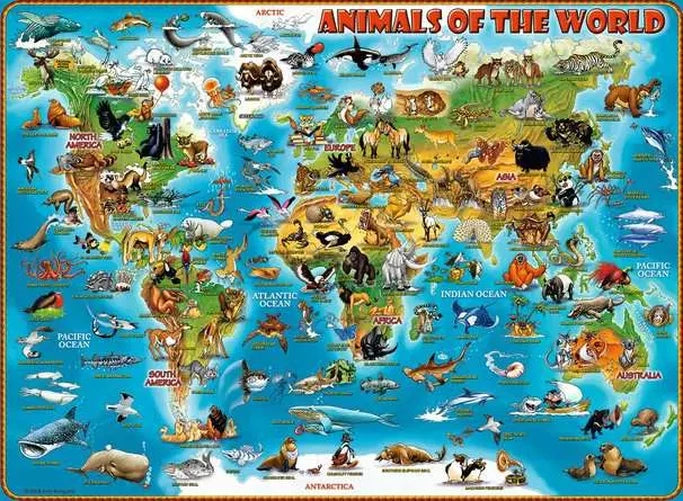 Illustrated Animals of the World map featuring land and sea animals positioned across the continents, Arctic and surrounding oceans