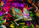 Colourful chameleon resting among bright leaves in the puzzle artwork