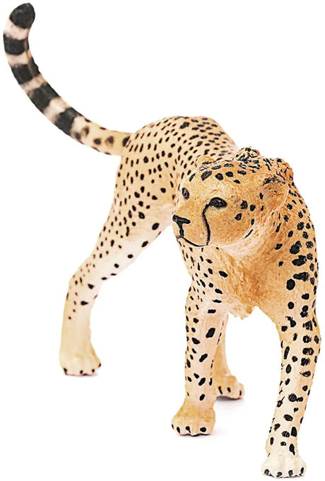 Close view of the Schleich cheetah figure showing the sculpted face, spots, and painted features.