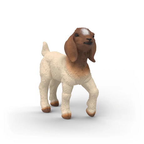 Schleich Boer Goat Kid figure standing with white body, brown head and floppy ears