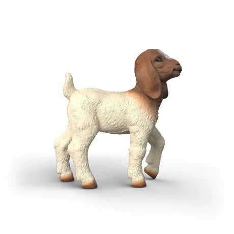 Schleich Boer Goat Kid figure shown from the right side with white body and raised tail