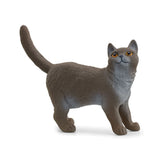 Schleich British Shorthair Cat figure standing with one front paw slightly forward and looking upwards.