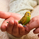 Schleich Budgie 14939 green and yellow bird figure held in a child's hands