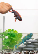 A hand holds an orange and blue chameleon figure above a terrarium containing a blue and green chameleon beside stacked grey rocks and green leaves