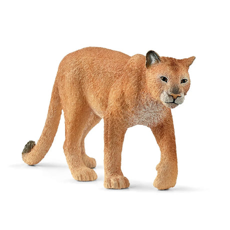 Schleich Cougar figure with a pale chest, dark nose, dark-tipped ears and one front paw raised. 