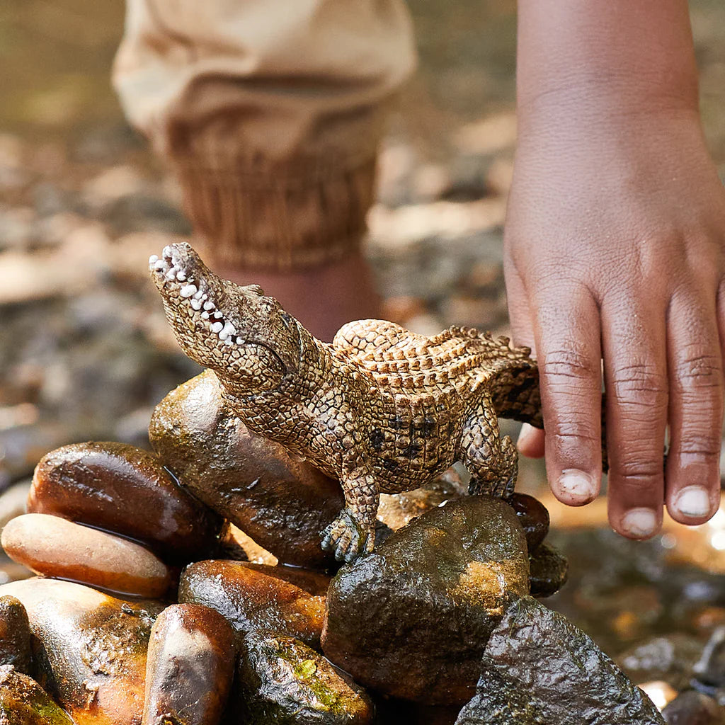 Schleich Crocodile figure standing on wet river rocks with its head raised and teeth visible.