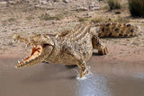Schleich Crocodile figure with its mouth open and front legs in shallow water.