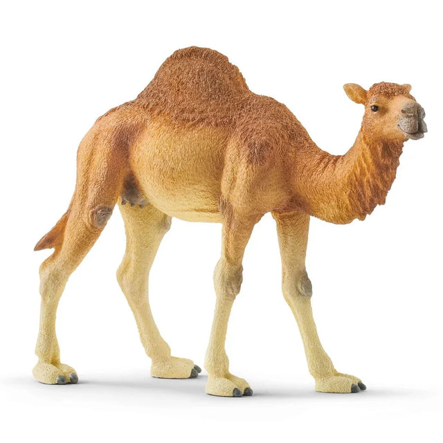 Camel figure by Schleich shown in a side standing pose with a full textured hump and sandy brown colouring.