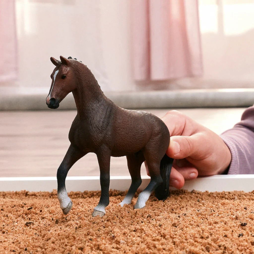 Schleich Dutch Warmblood Gelding figure being held in a play scene with wood chip bedding