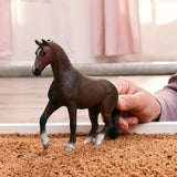 Schleich Dutch Warmblood Gelding figure being held in a play scene with wood chip bedding